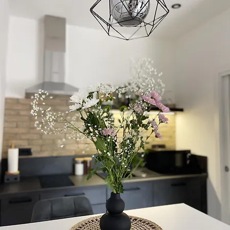 Cozy With Terrace + Free Parking דירה
